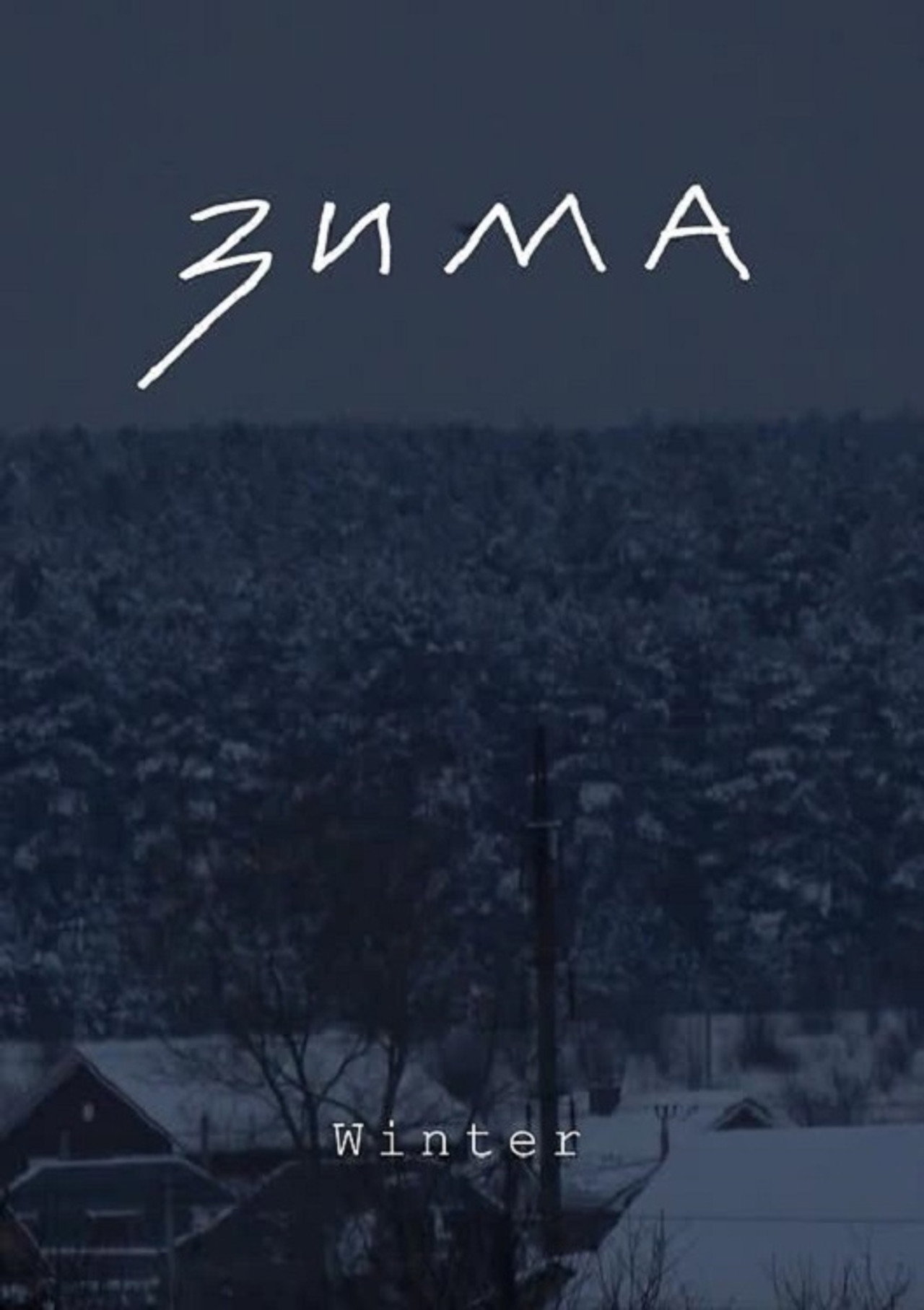 Зима filmaffisch
