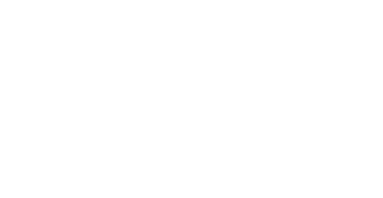 Punk