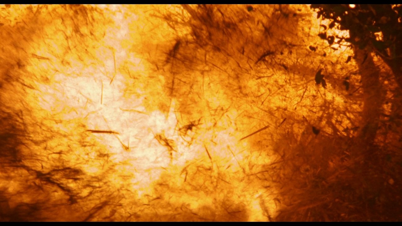 title image