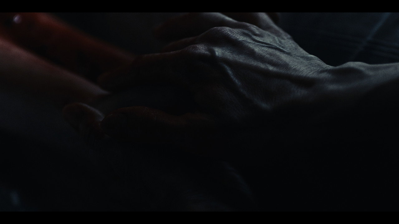 Carne still 9
