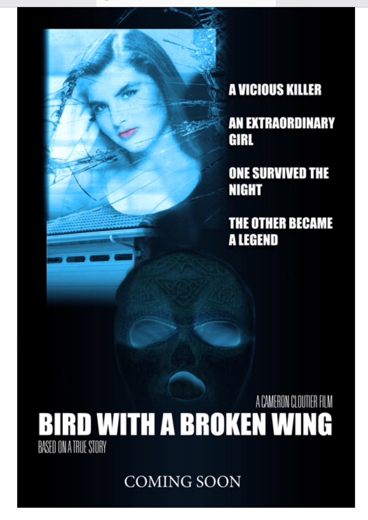 Bird with a broken wing