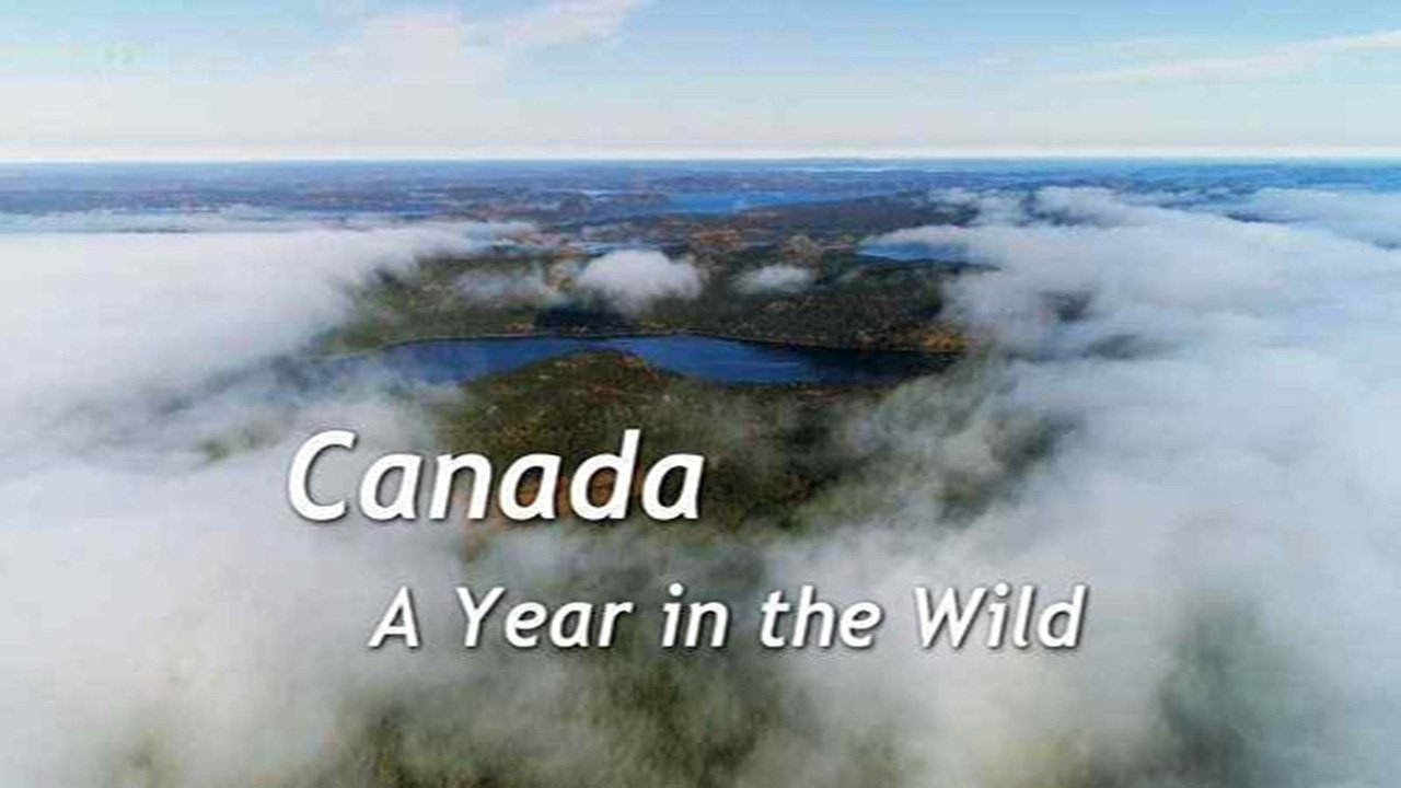 Canada: A Year in the Wild background