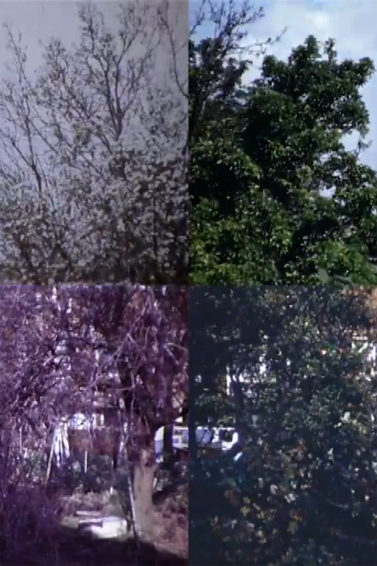From Four Seasons filmaffisch
