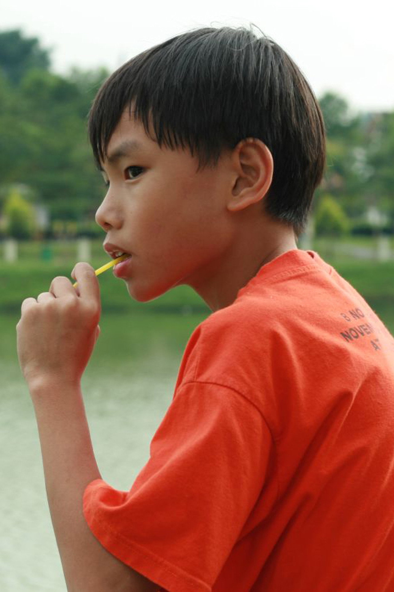 神秘鸡饭 filmaffisch