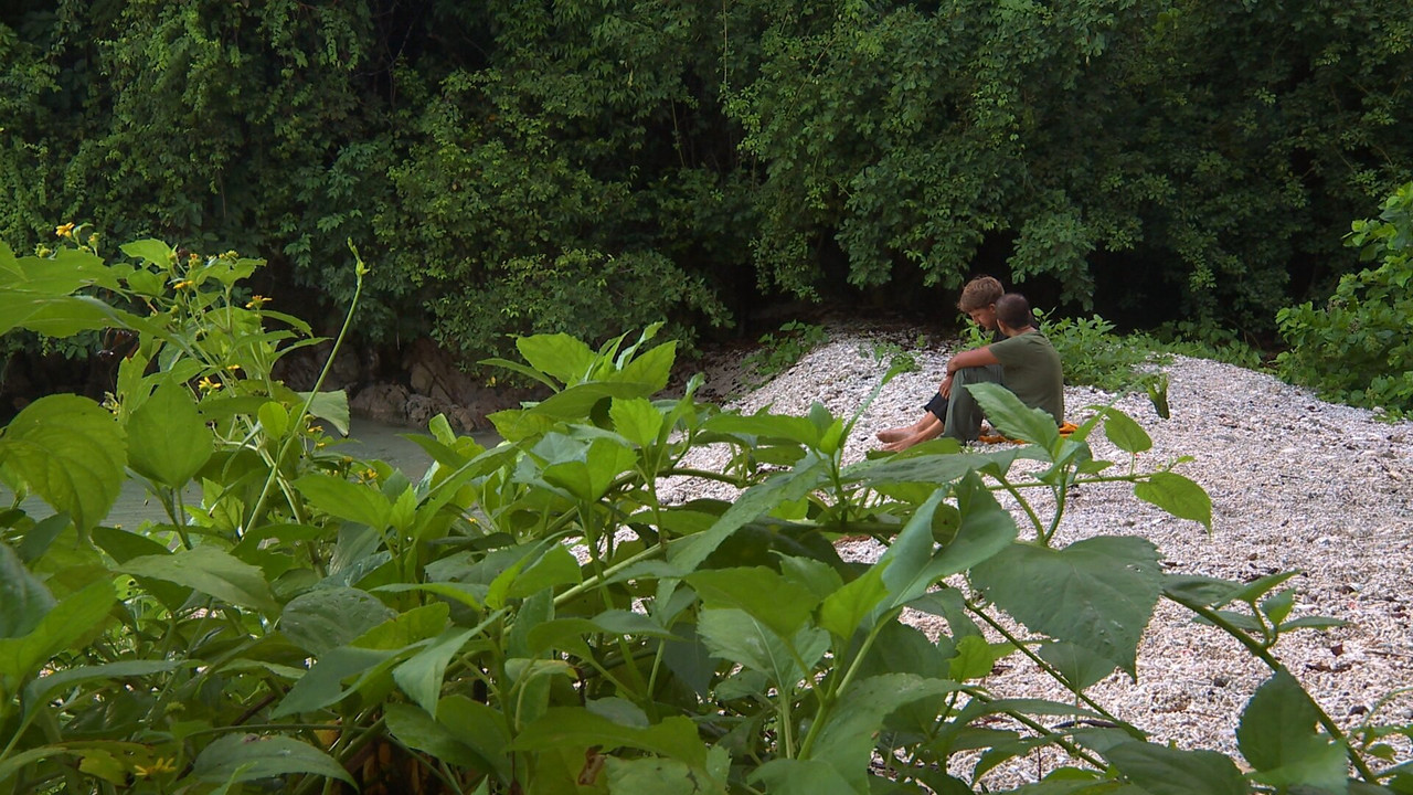 Robinson - Season 25 Episode 42 : Episode 42