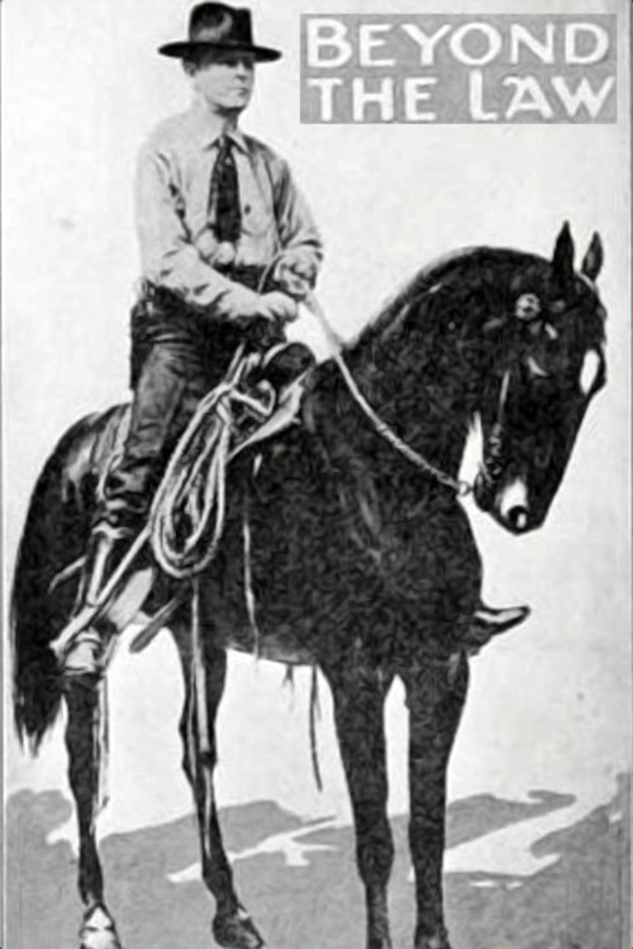 Beyond the Law Backdrop