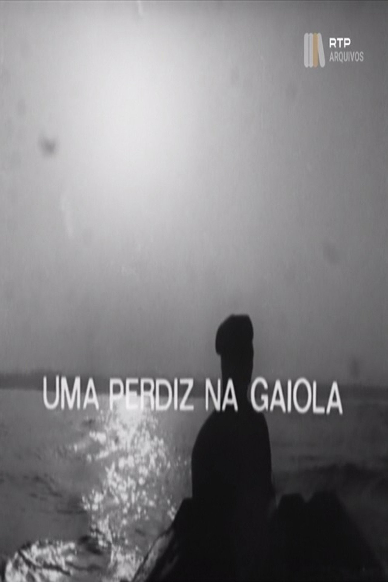 Uma Perdiz na Gaiola filmaffisch