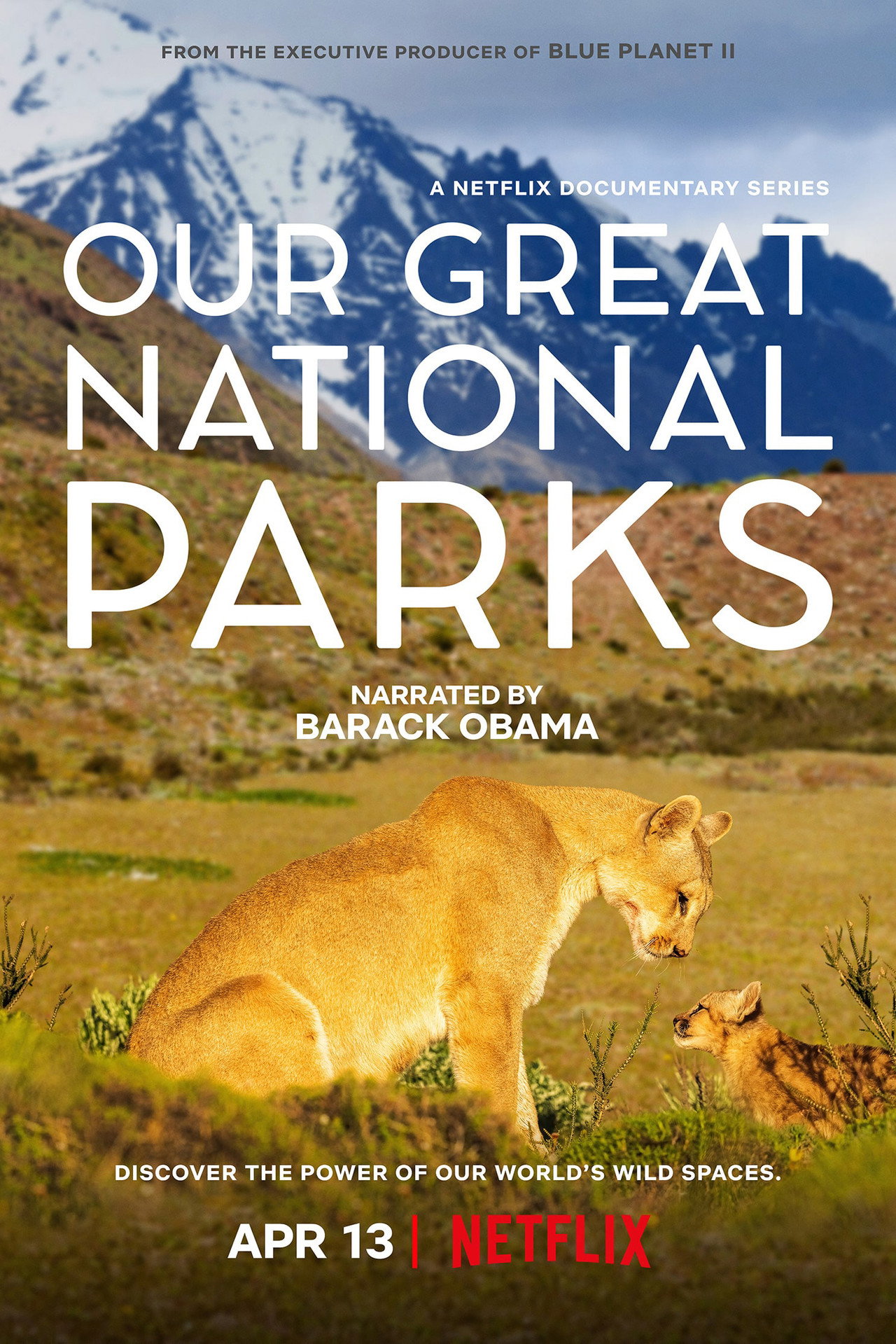 Our Great National Parks (2024) Hindi Season 1 Complete backdrop