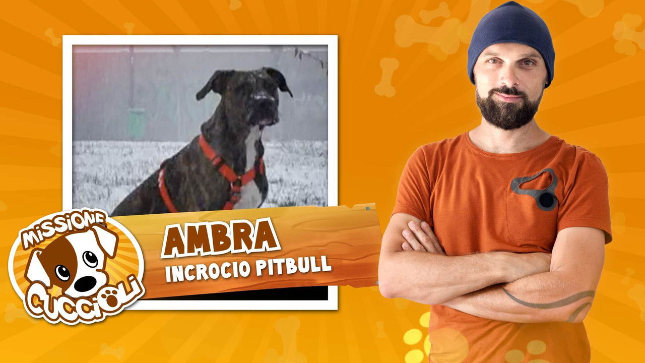 Missione cuccioli — Épisode 5