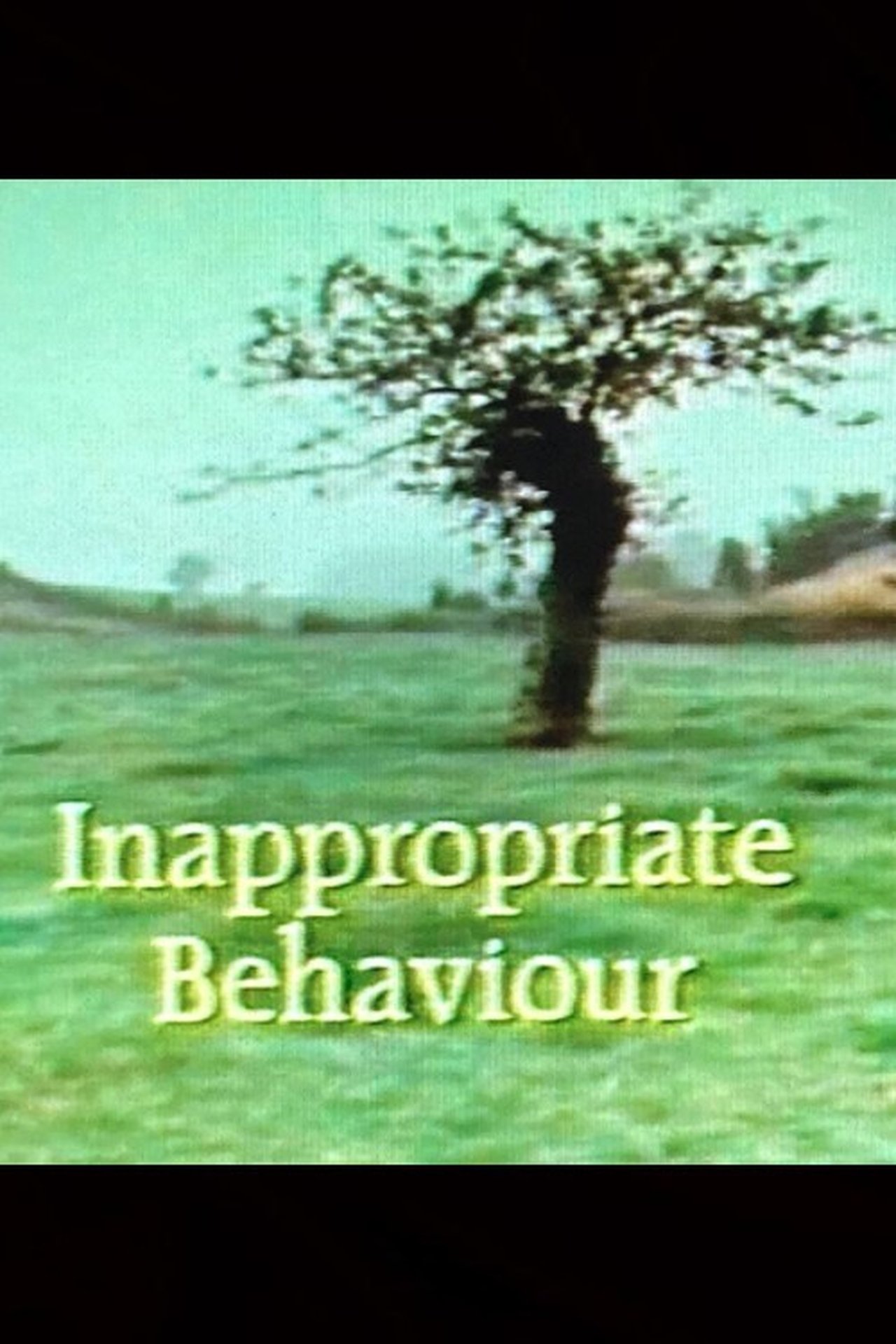 Inappropriate Behaviour Inappropriate Behaviour
