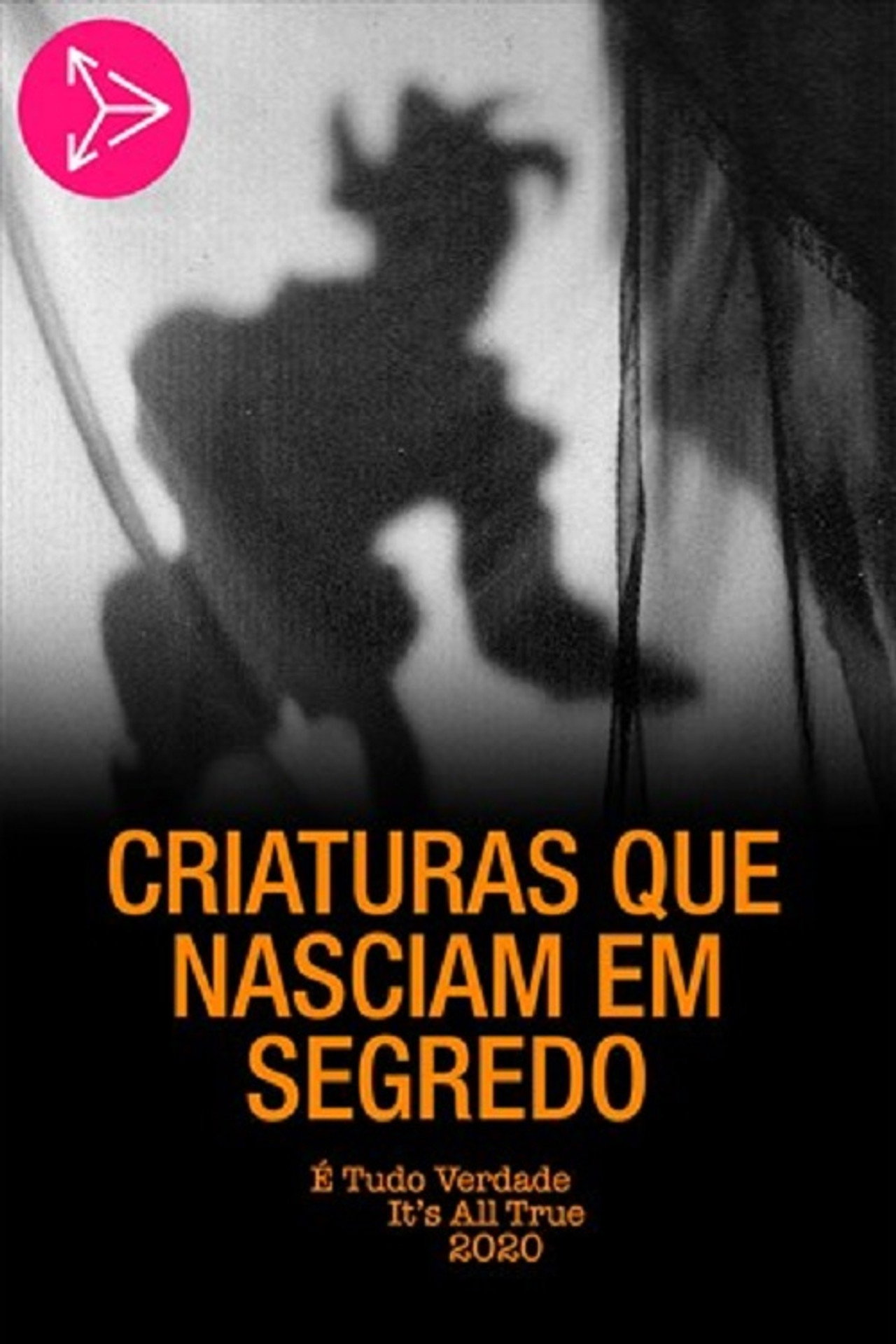 Criaturas Que Nasciam em Segredo filmaffisch