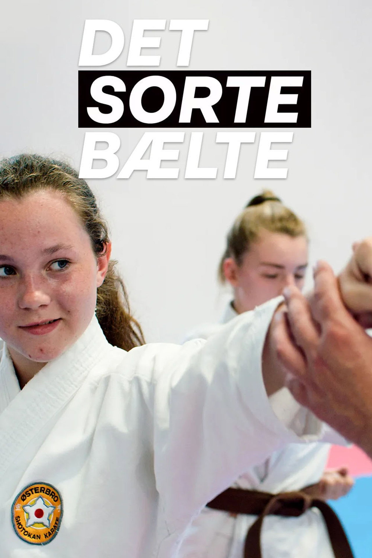 Det sorte bælte poster