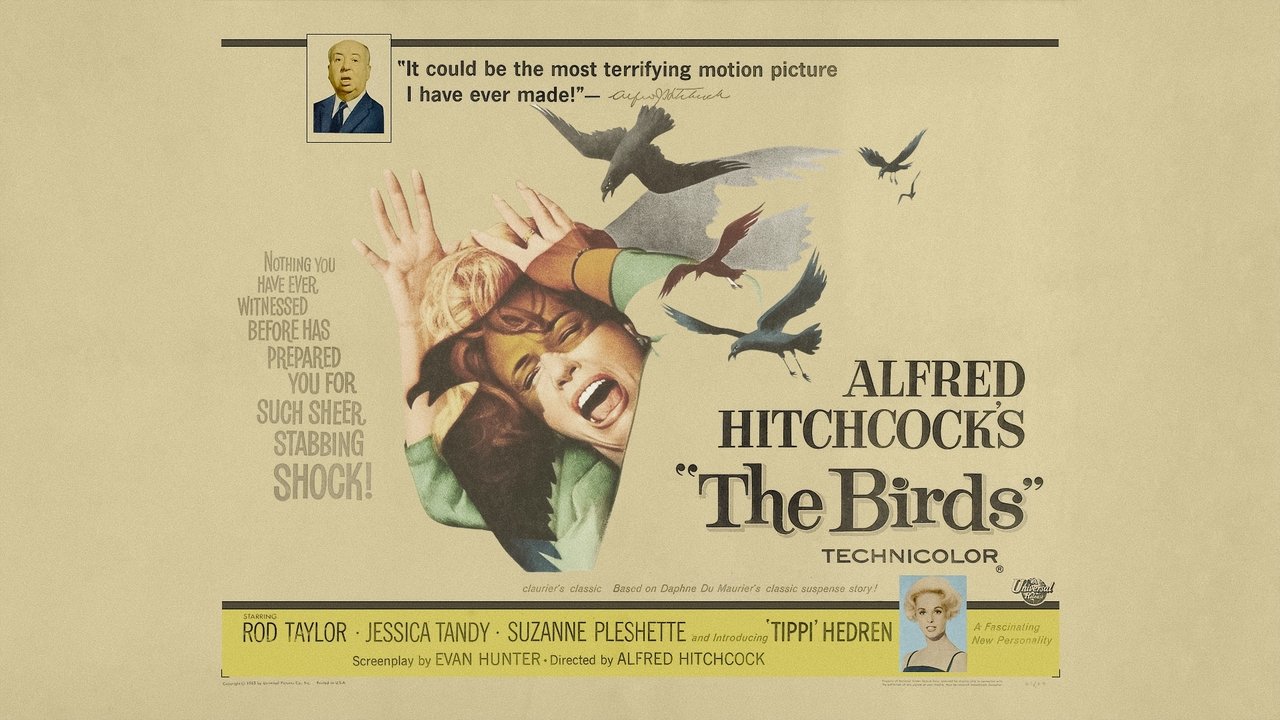 The Birds