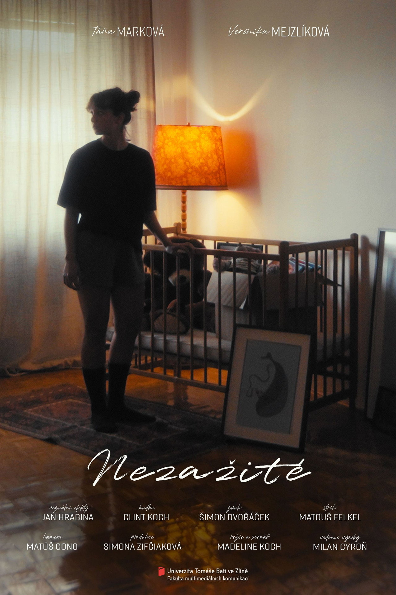 Nezažité filmaffisch