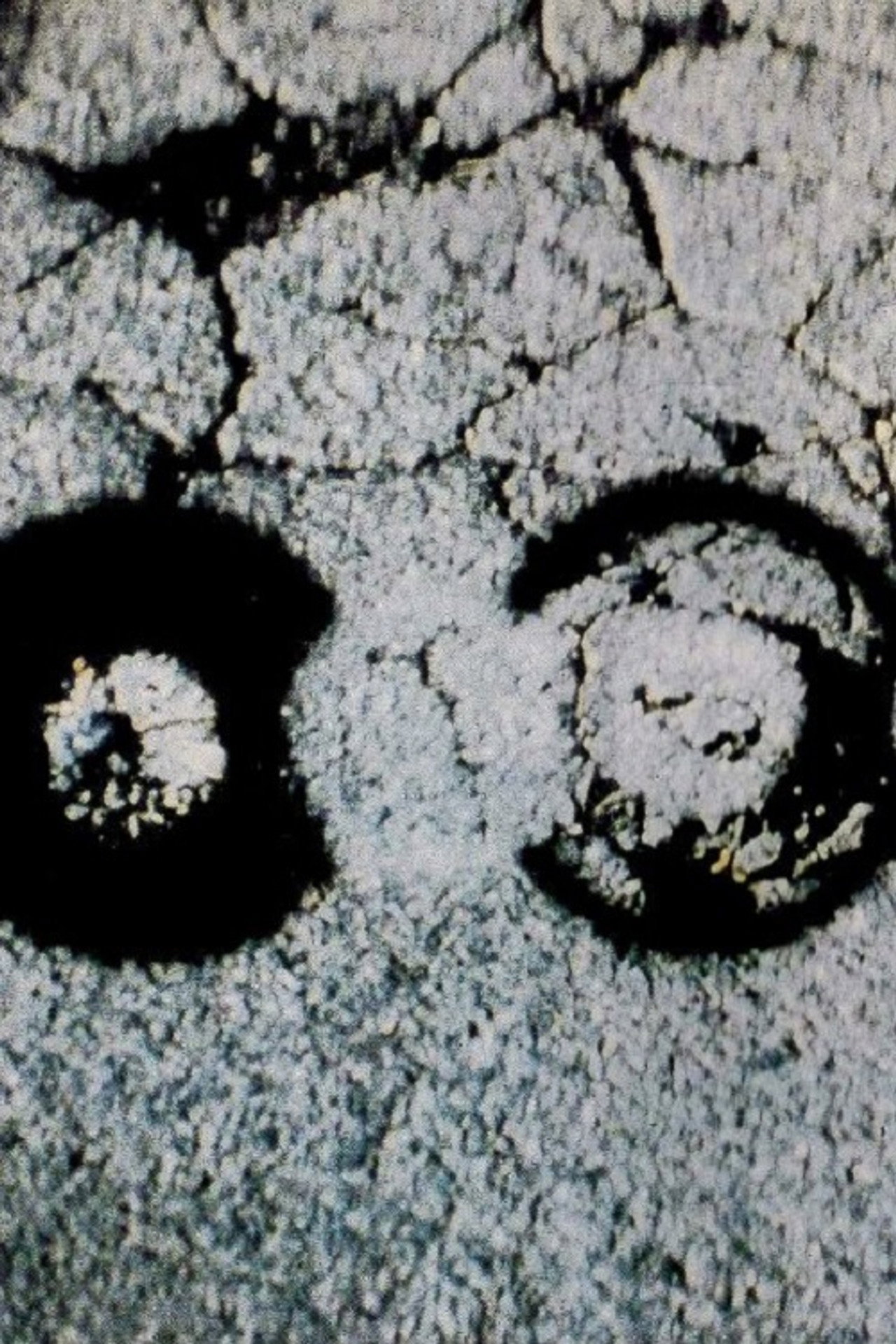 Traces filmaffisch