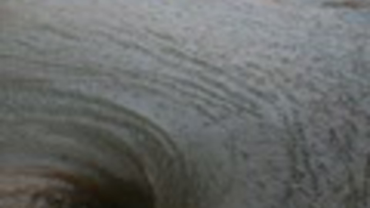 传奇故事 — Épisode 76