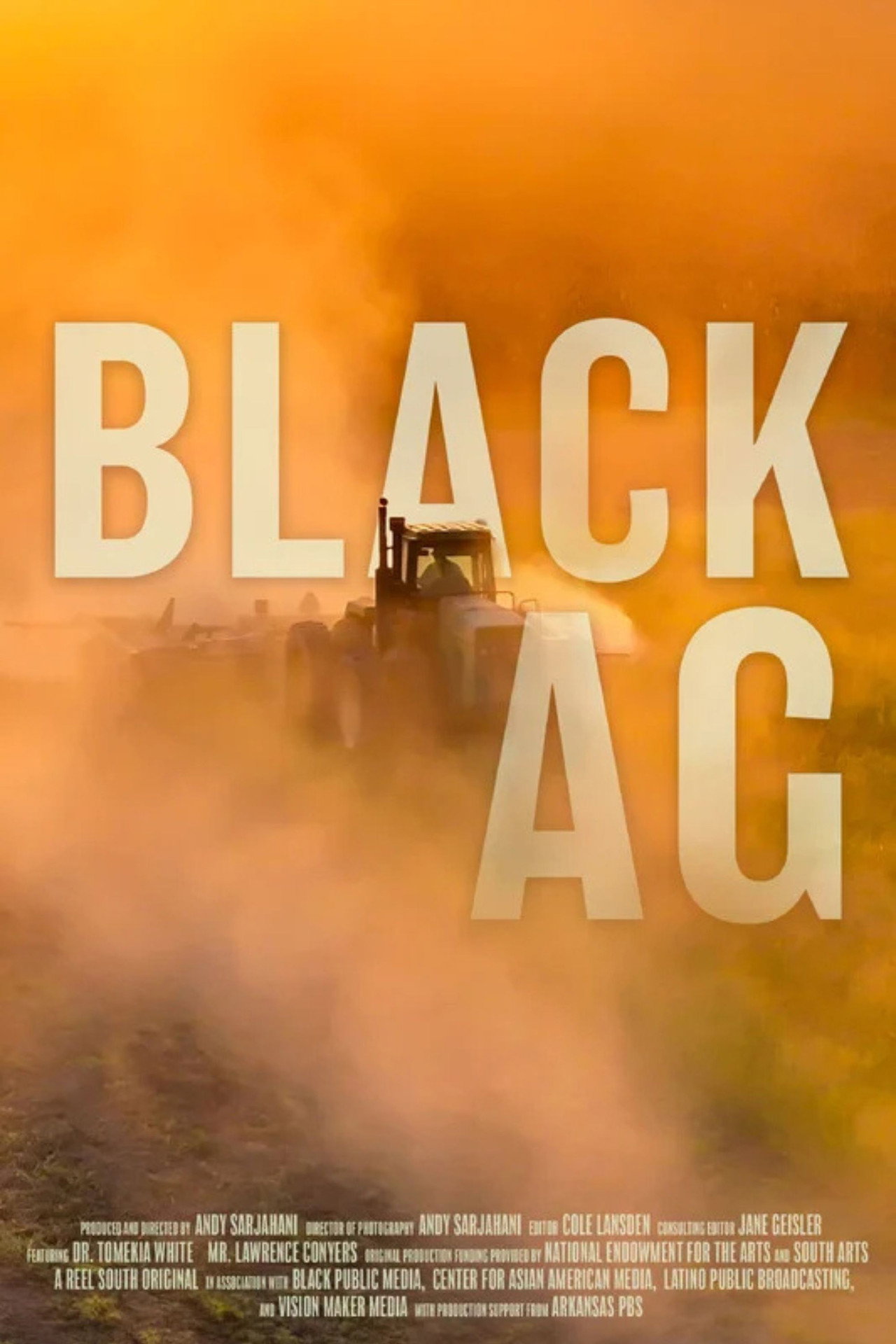 Black Ag poster