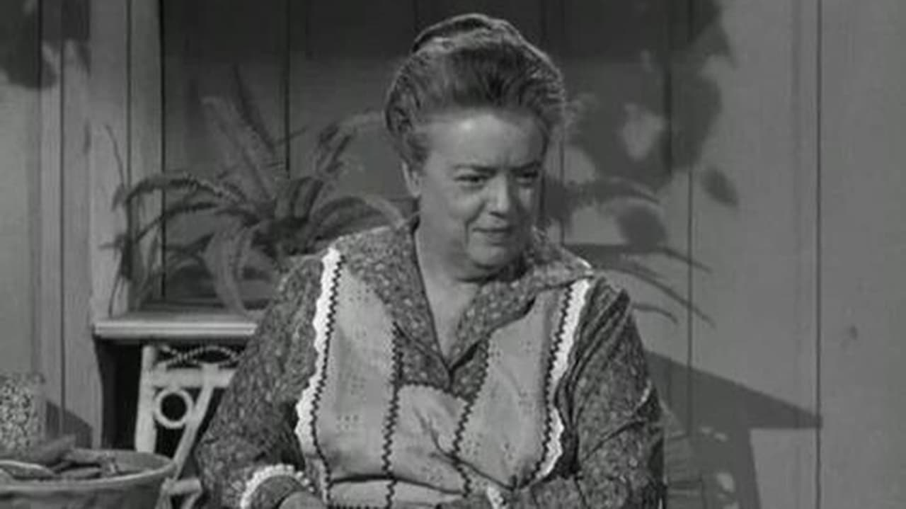 The Andy Griffith Show - Season 2 Episode 9 : Aunt Bee's Brief Encounter