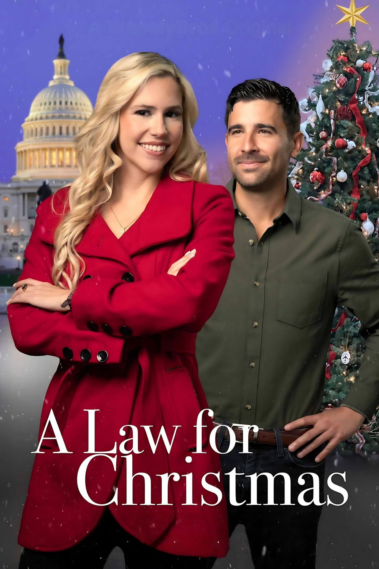 A Law for Christmas filmaffisch