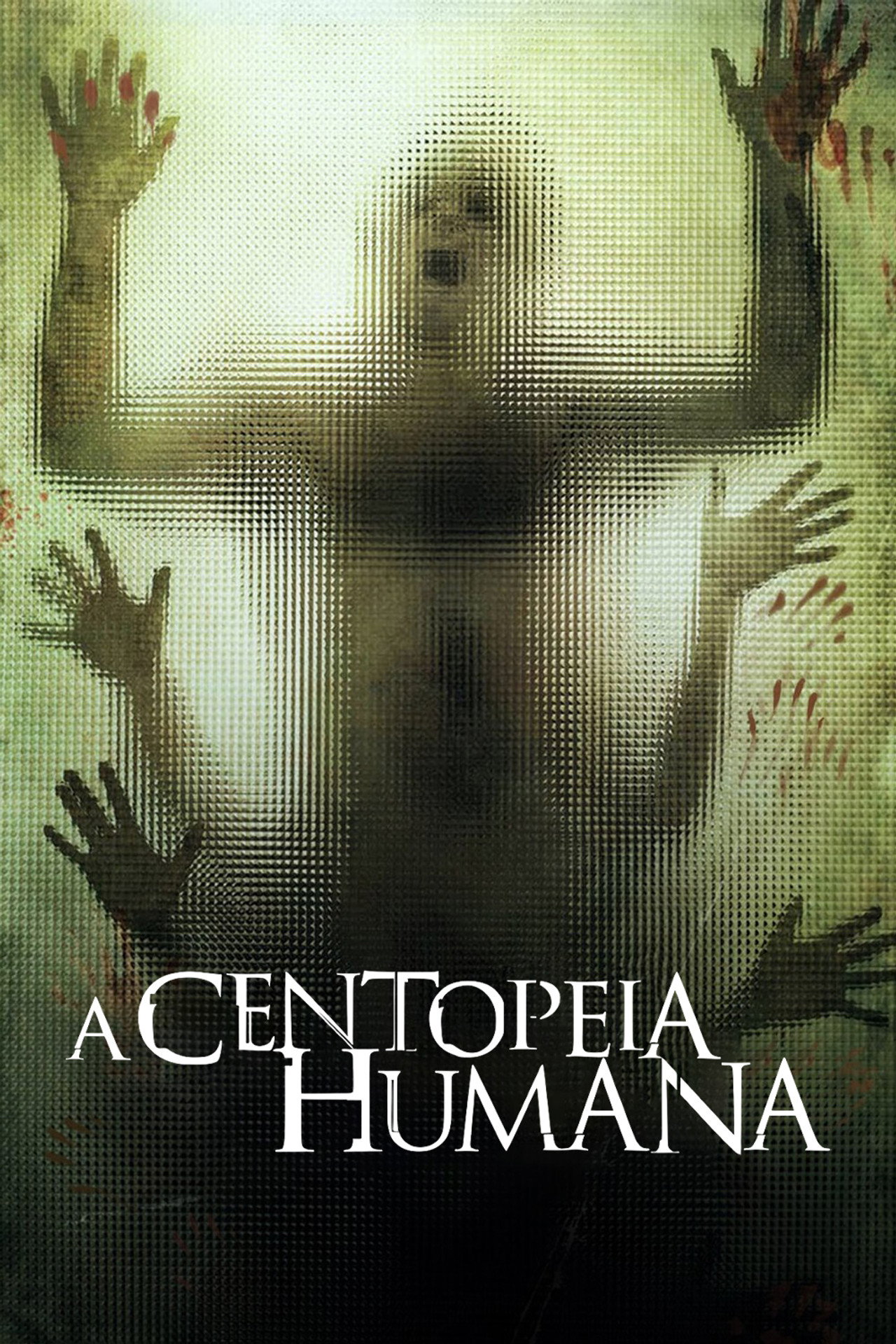 A Centopéia Humana