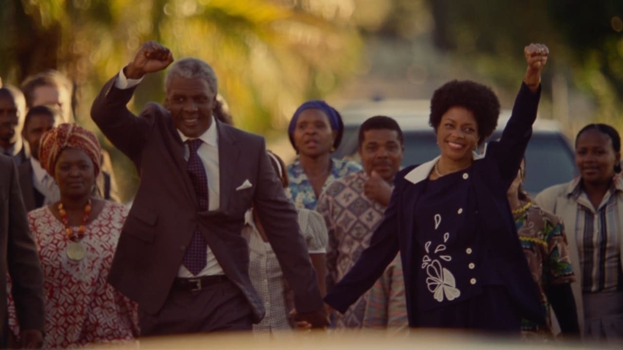 Mandela: Long Walk to Freedom (2013)