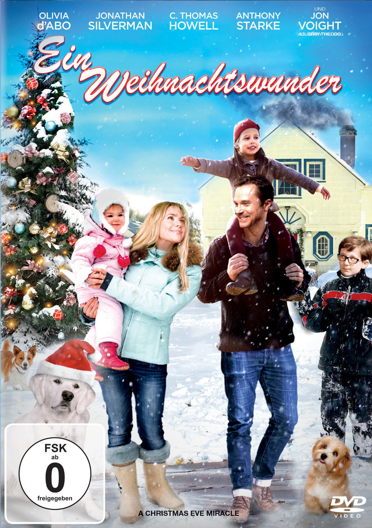 Ein Weihnachtswunder