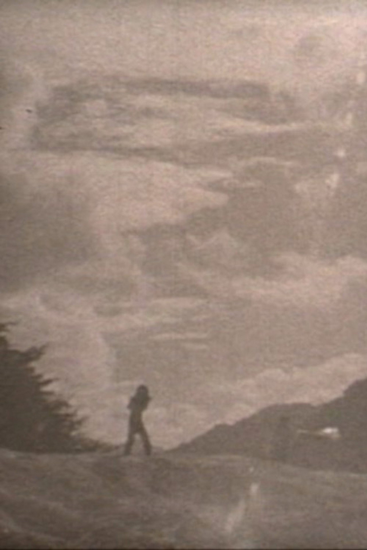 Chichibu Rest Backdrop