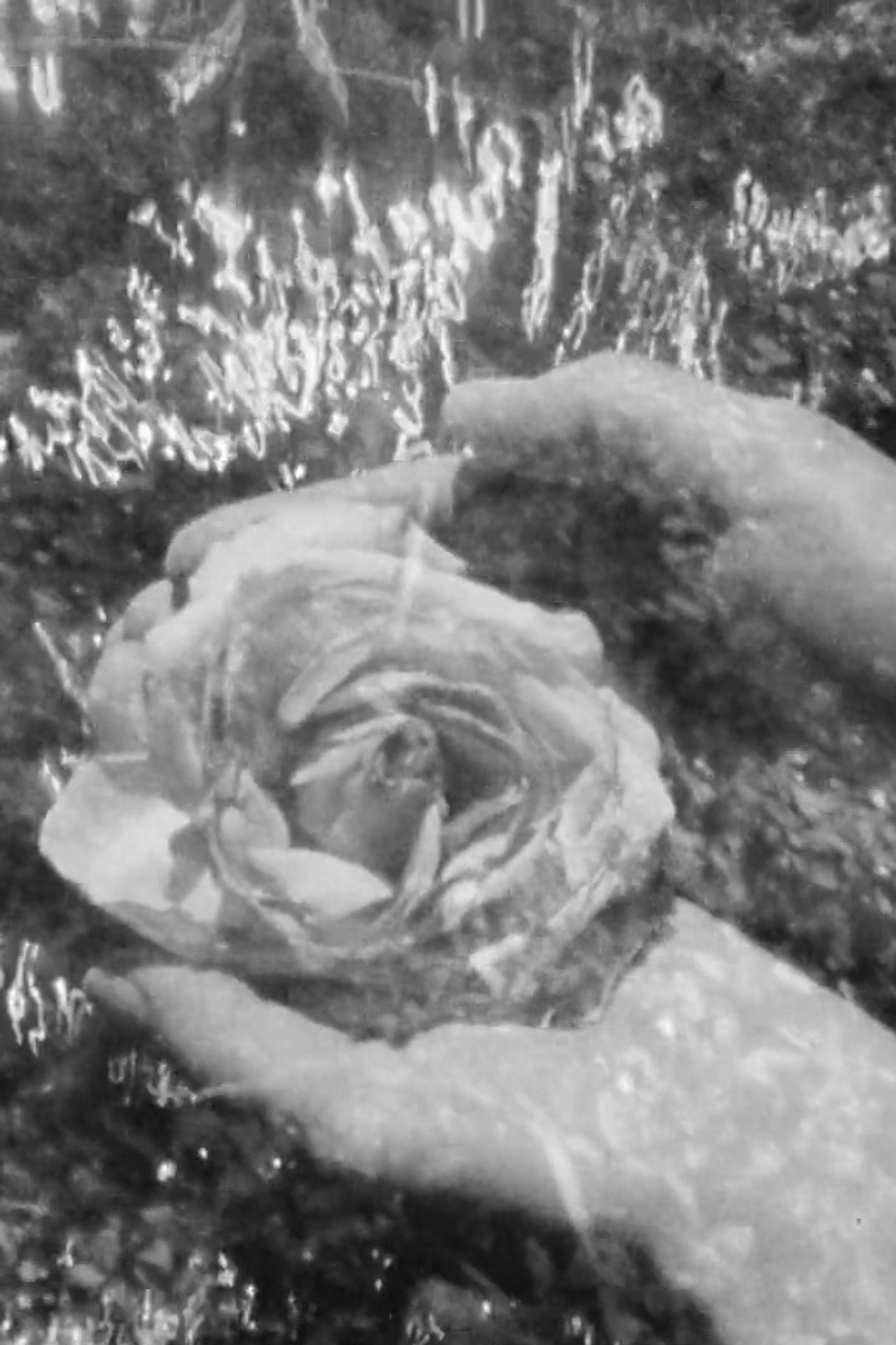 Moccasin Flowers filmaffisch