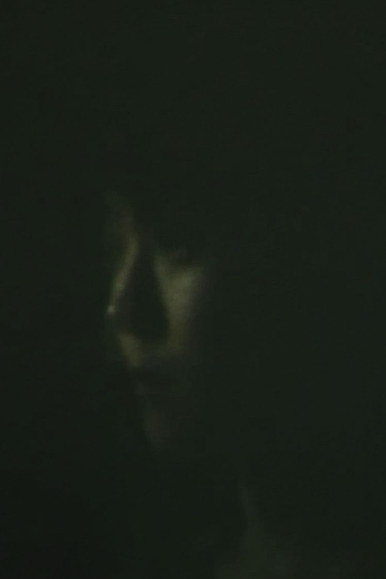 My Little Sister And Bruckner Backdrop