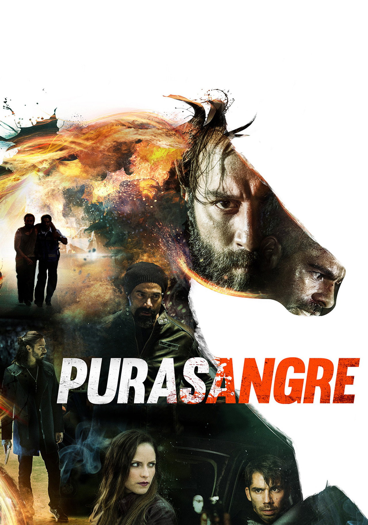 Purasangre filmaffisch