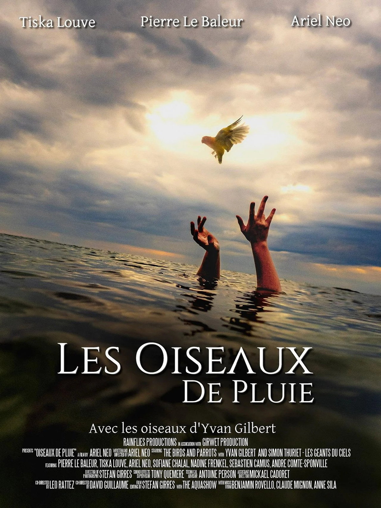 Les Oiseaux de pluie Backdrop