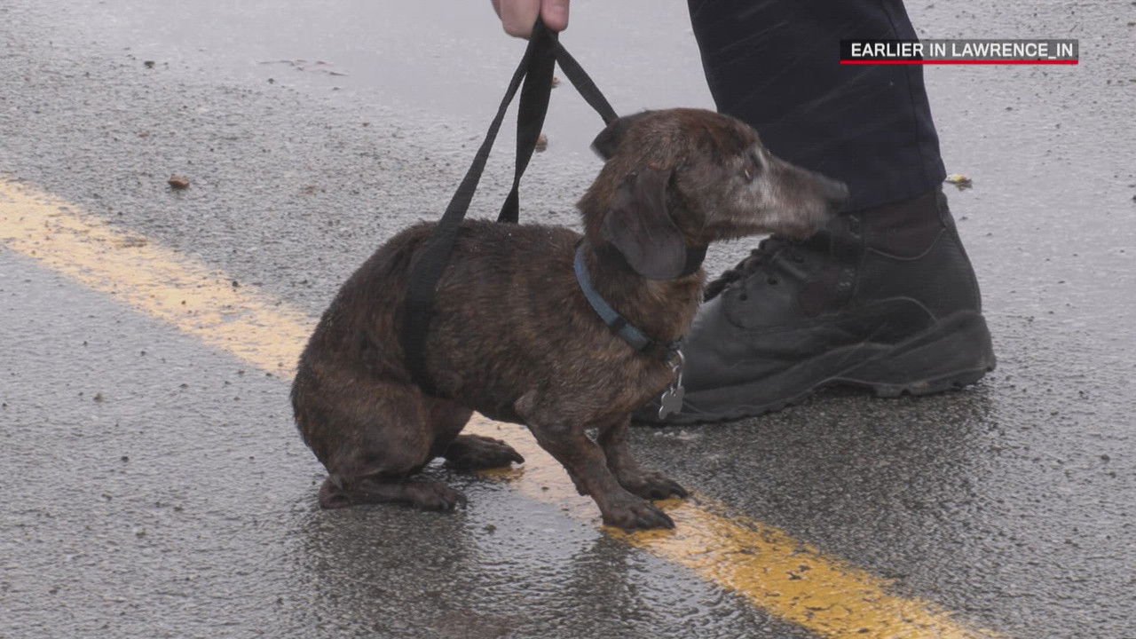 Live PD: Greatest Shifts — Épisode 3