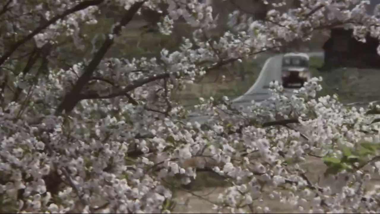 The Village backdrop