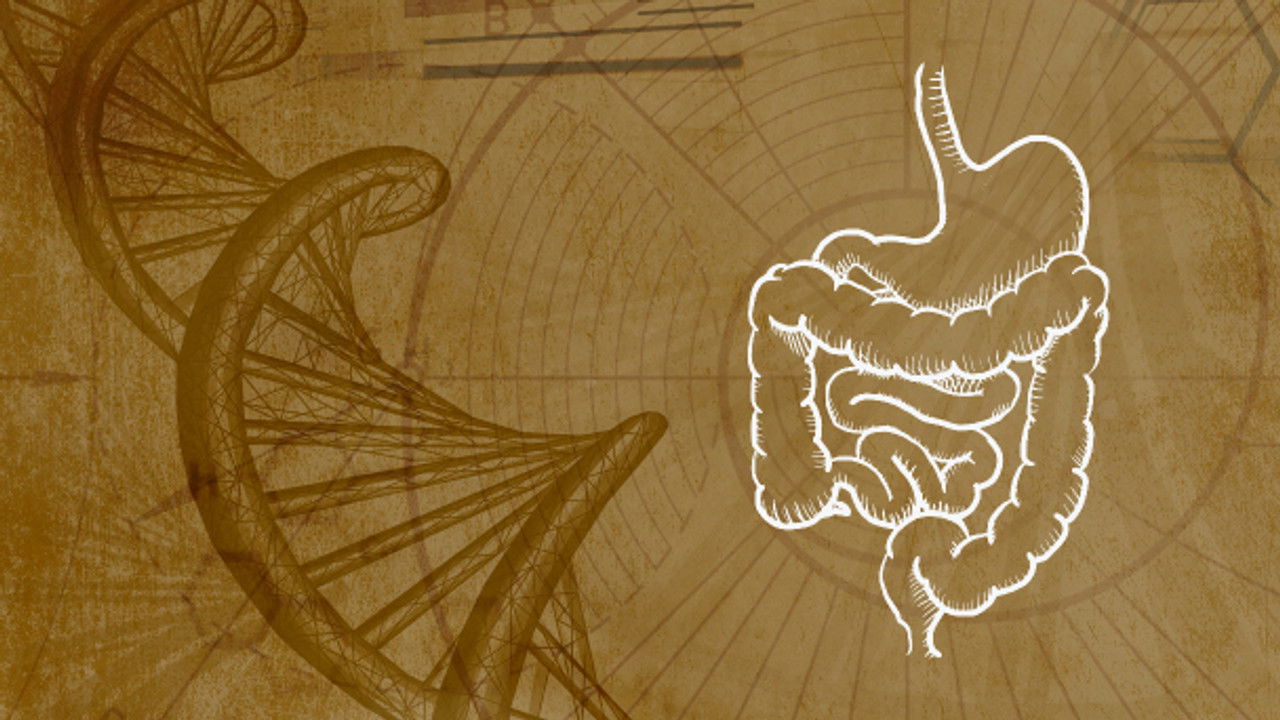 Inner Evolution — Épisode 10