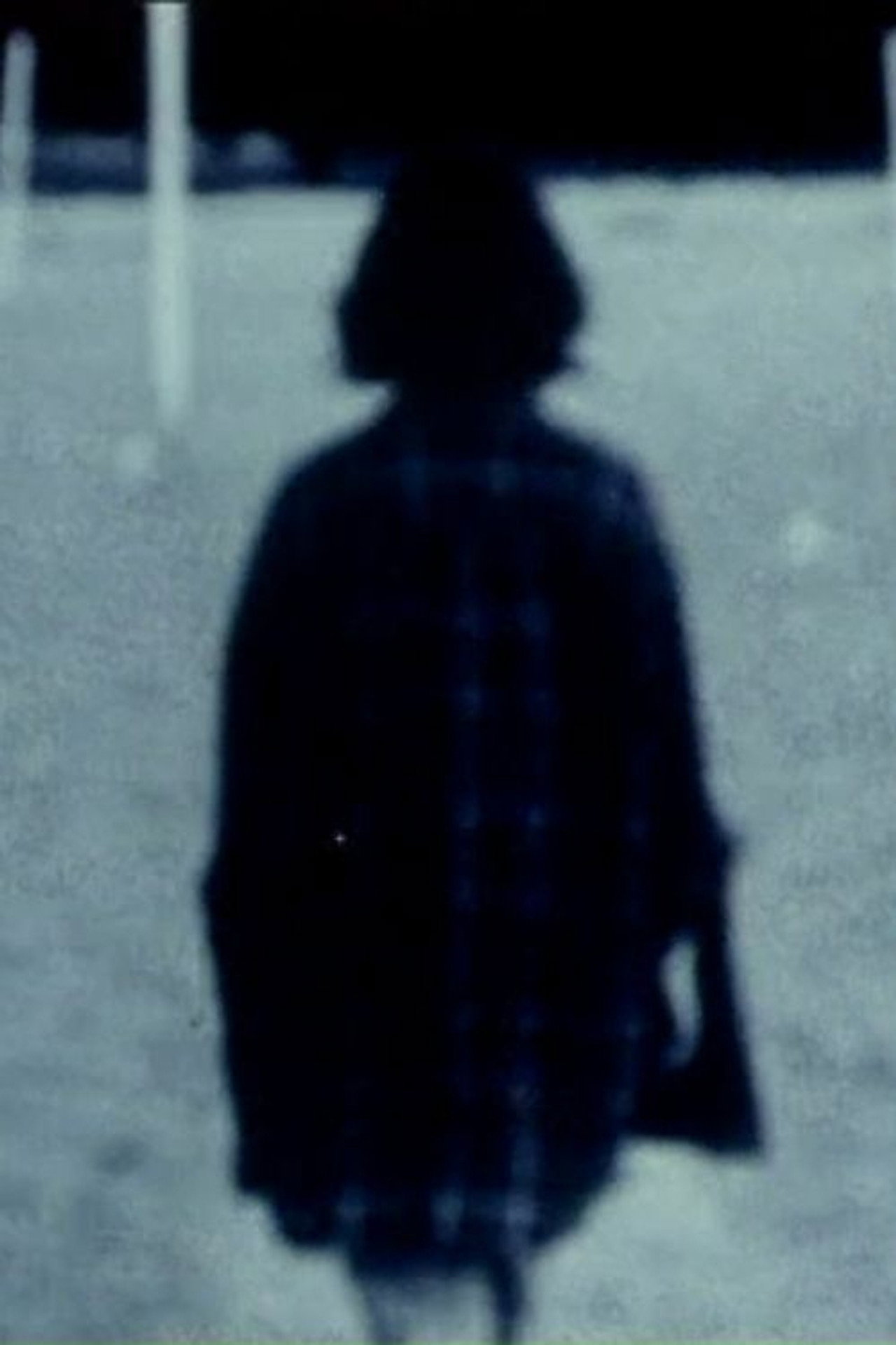 Echoed Silence poster