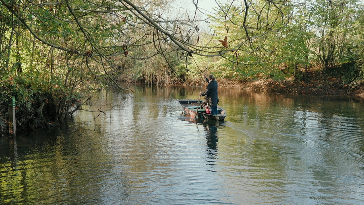 scenes 8