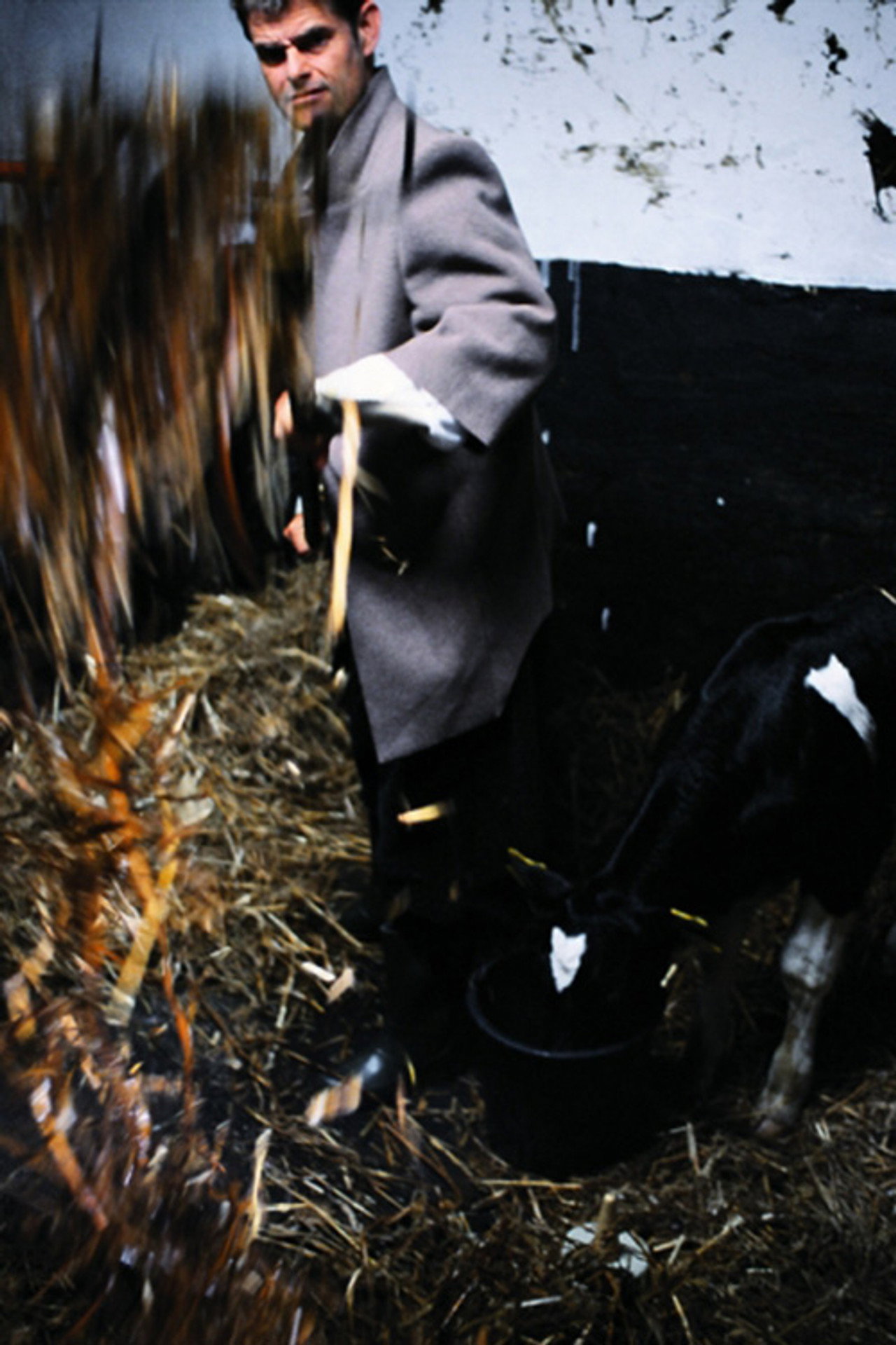Milk Fever Backdrop