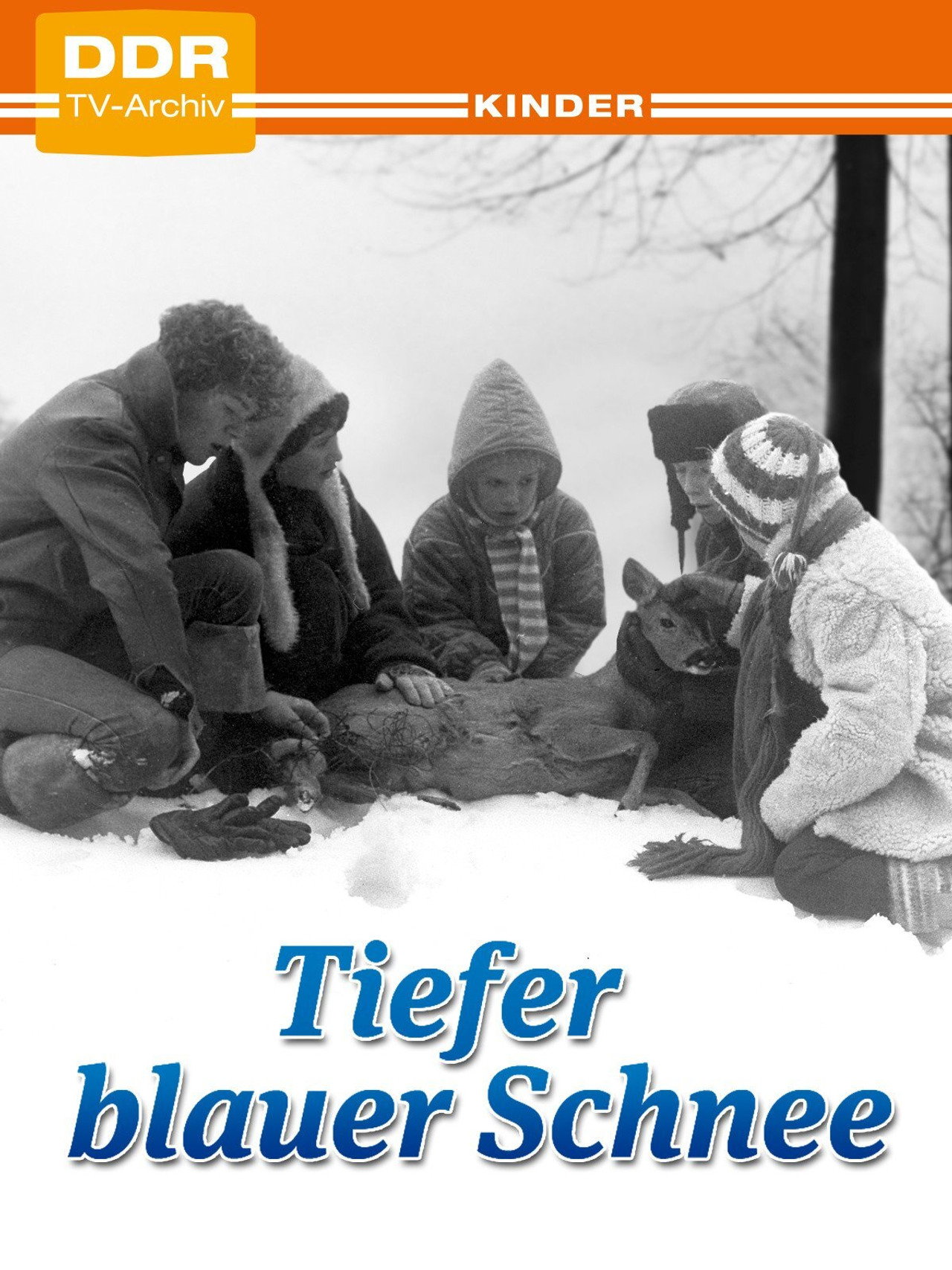 Tiefer blauer Schnee filmaffisch