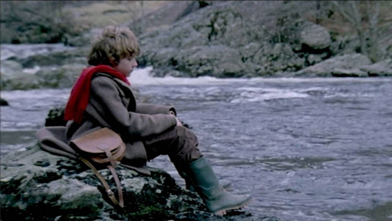 Mummy's Boy backdrop