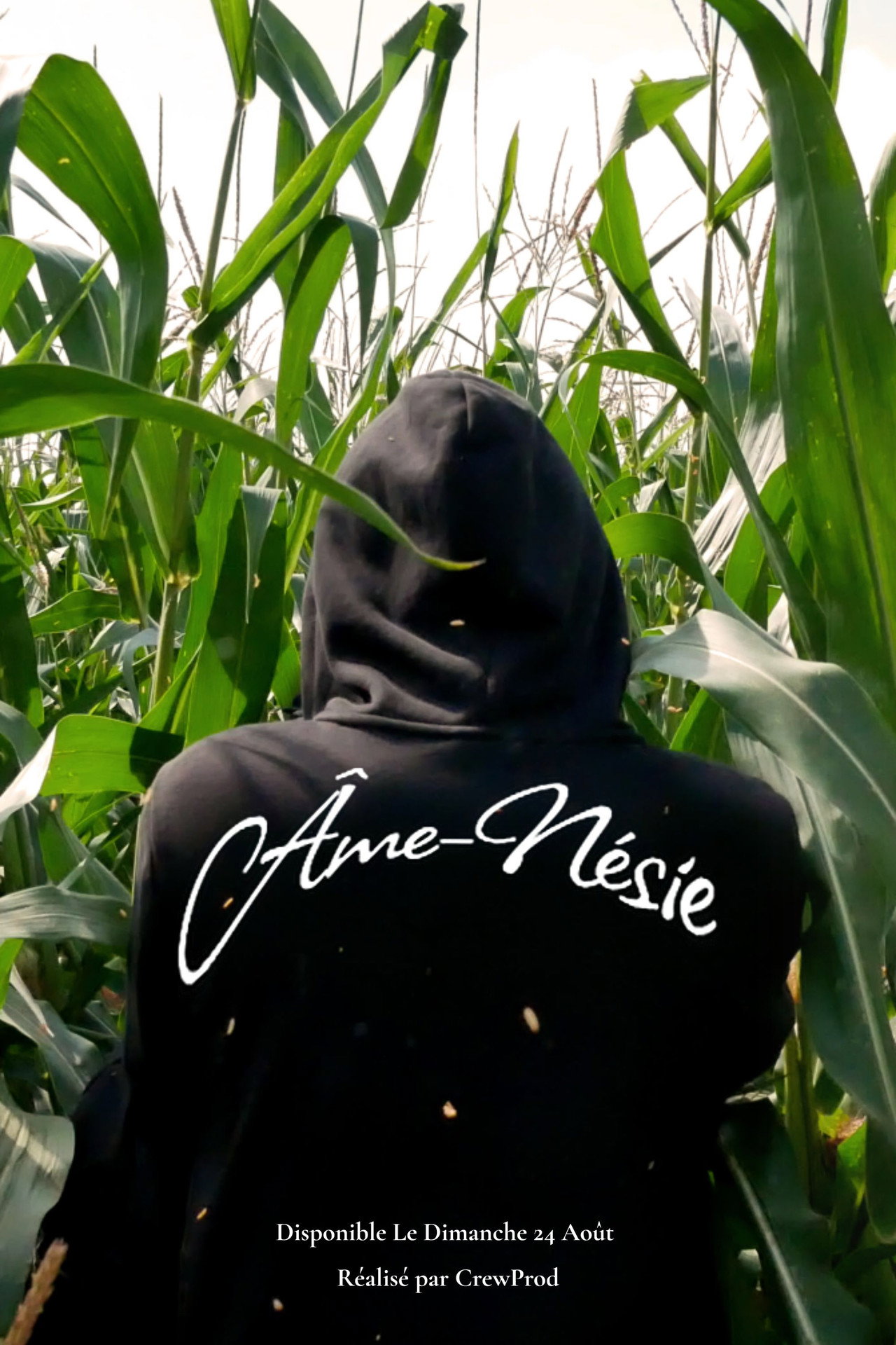 Âme-Nésie Backdrop