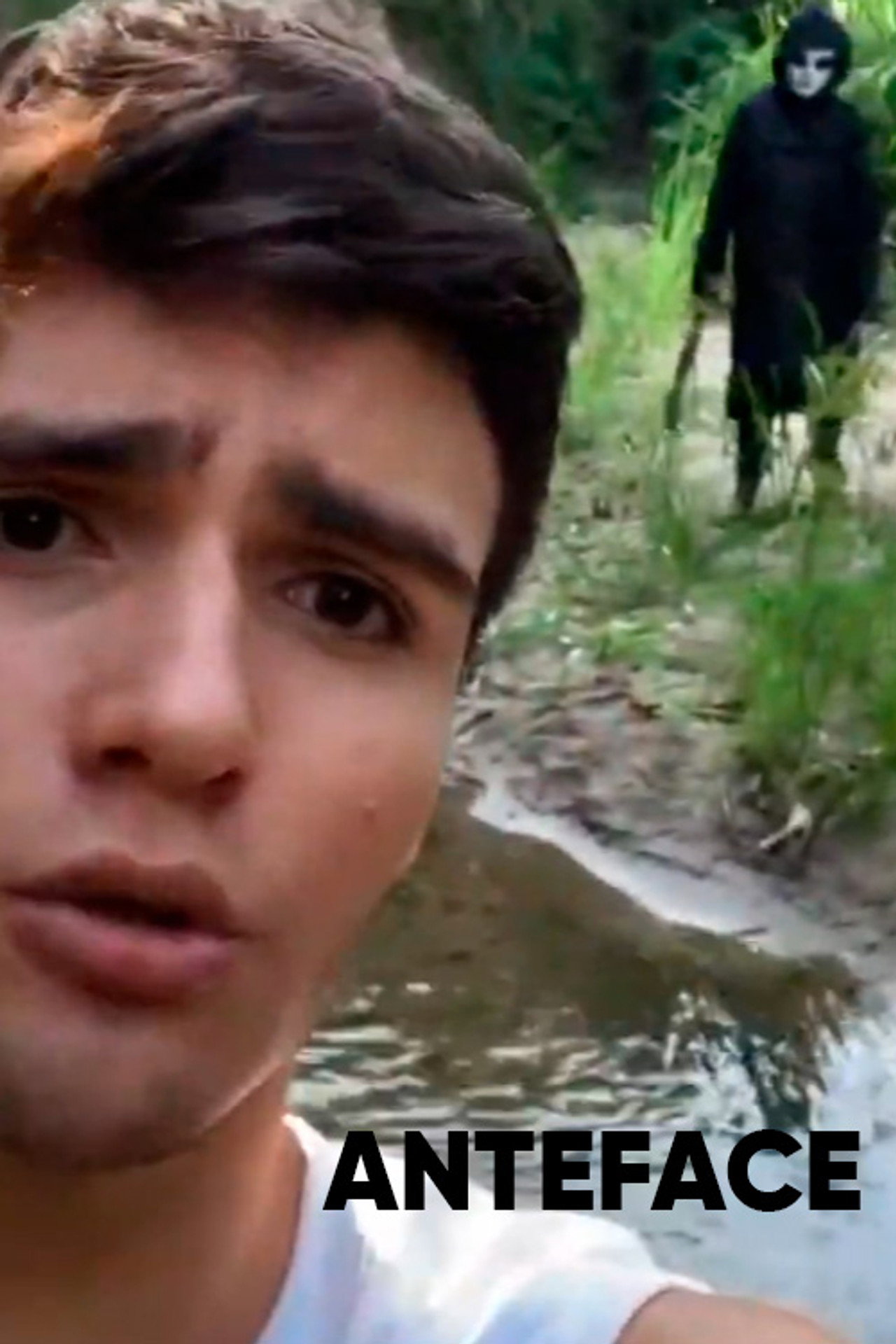 Anteface