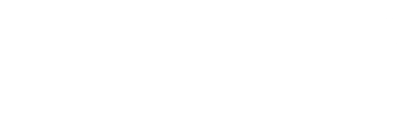Возвращение кота