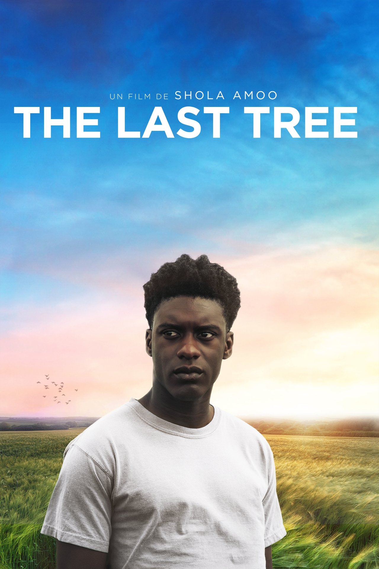 The Last Tree poster
