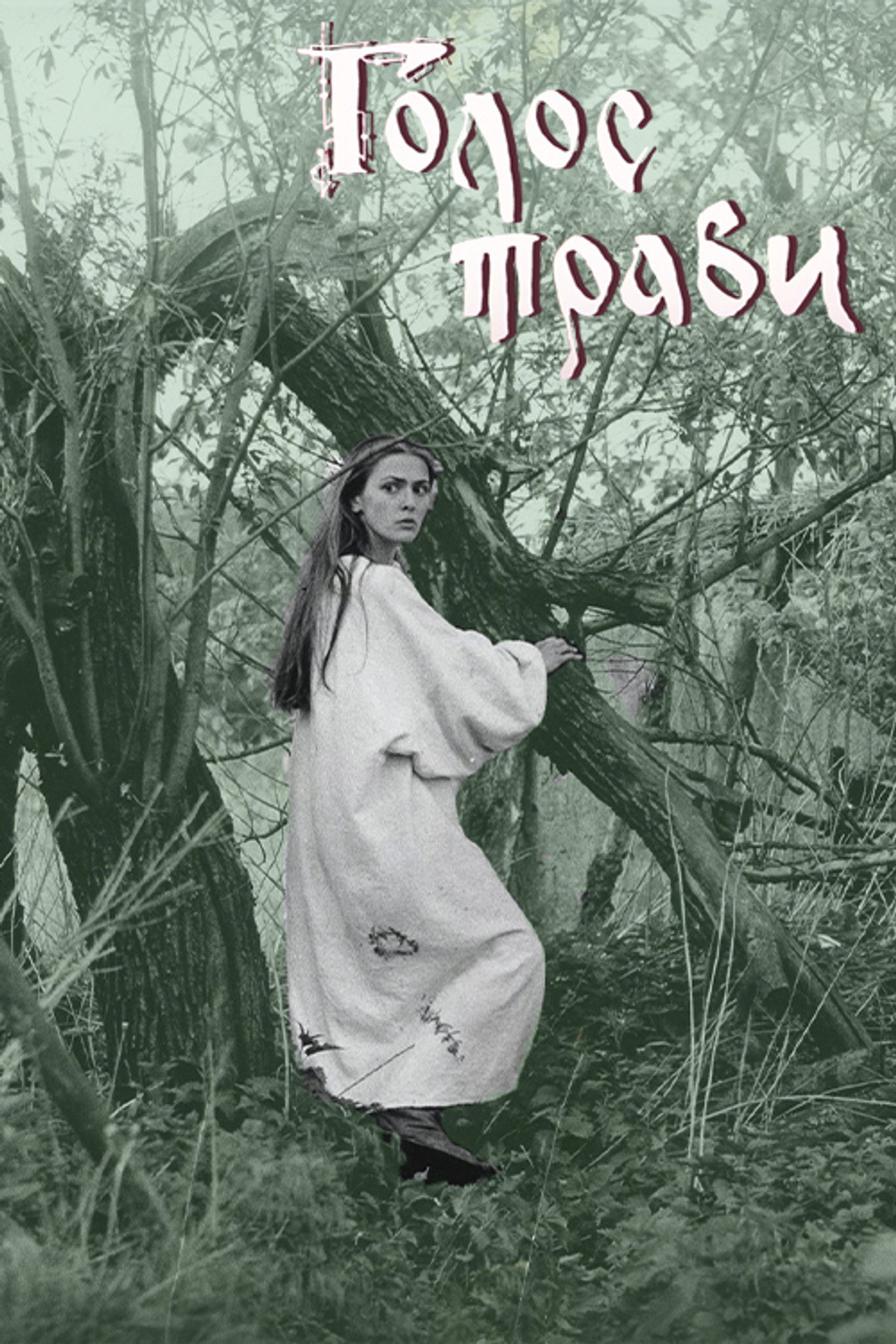 Голос трави filmaffisch