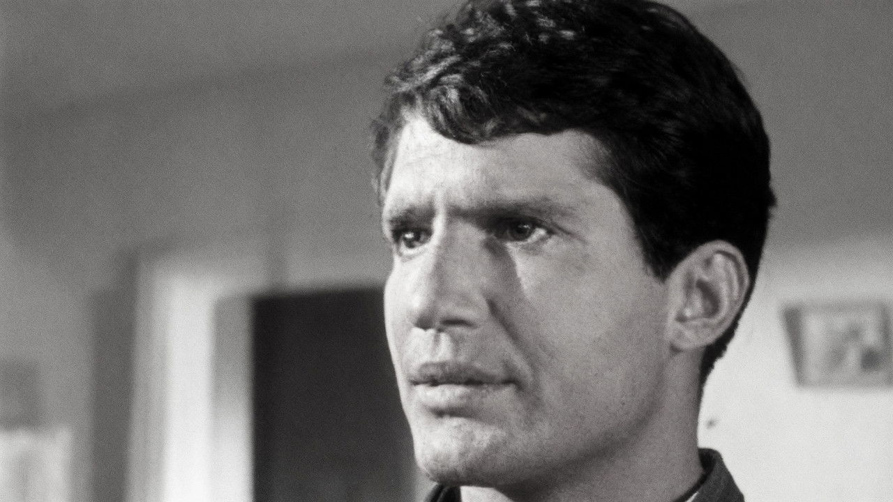 Peyton Place — Épisode 93