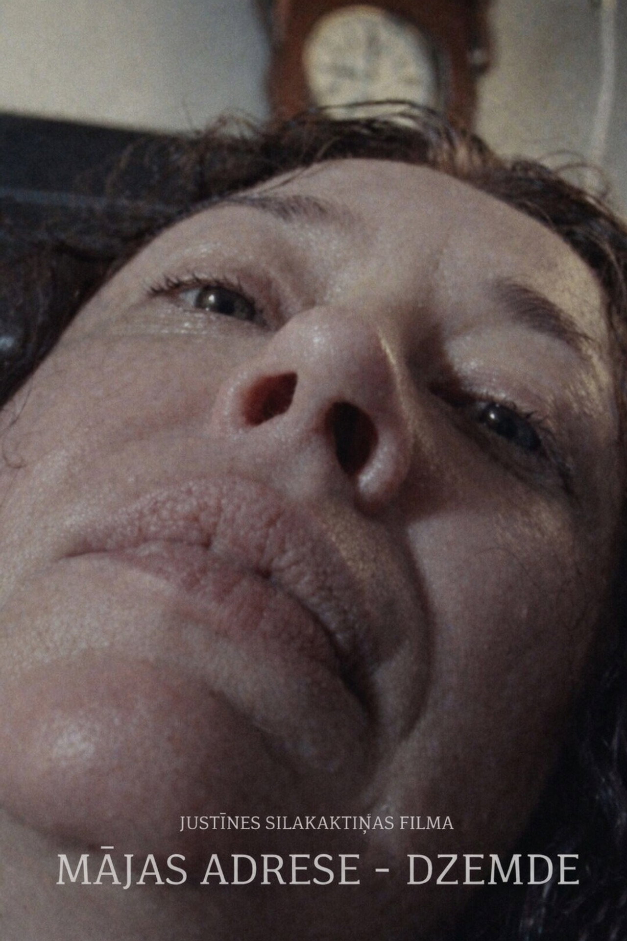 MĀJAS ADRESE - DZEMDE Backdrop