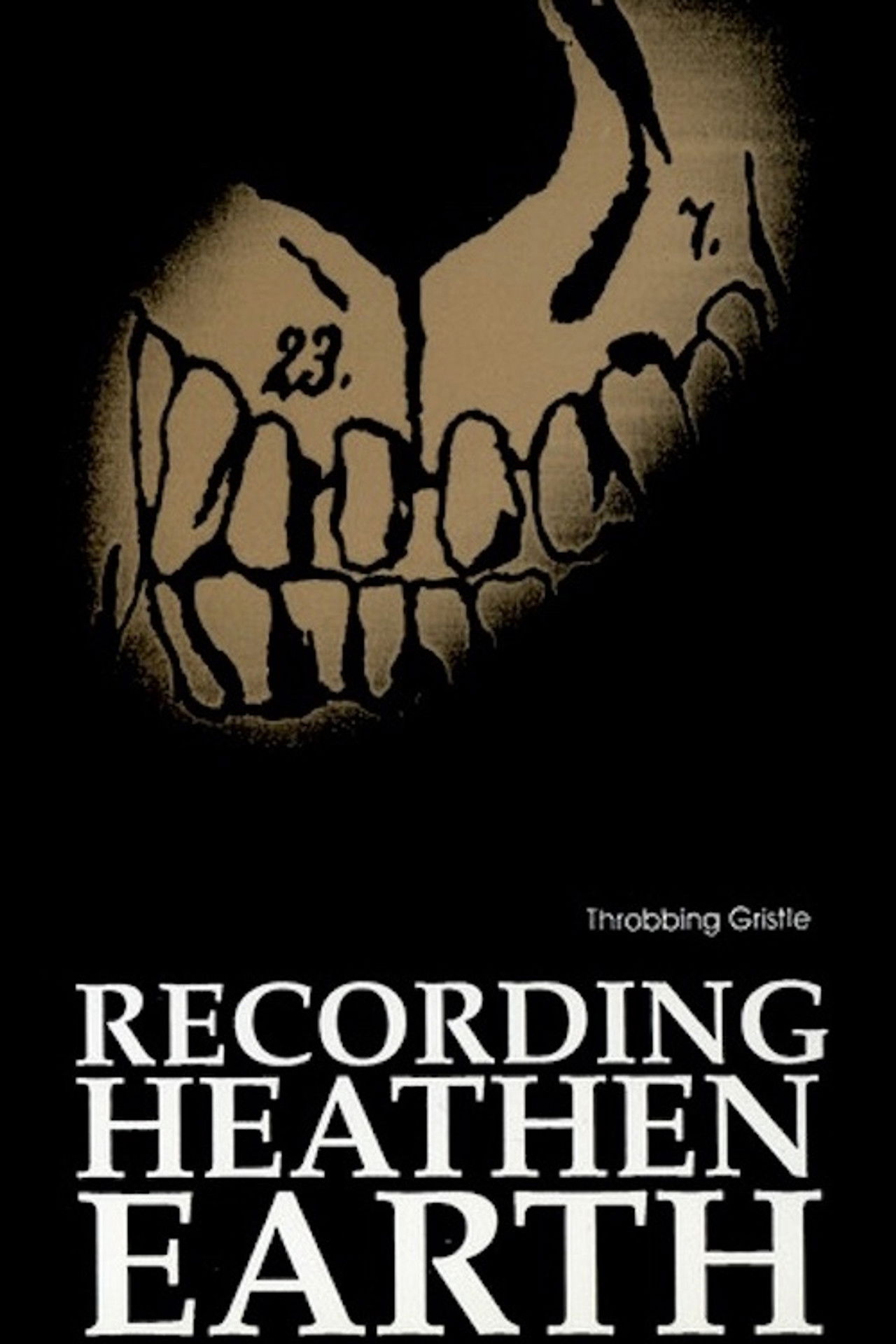 Throbbing Gristle - Recording Heathen Earth Backdrop