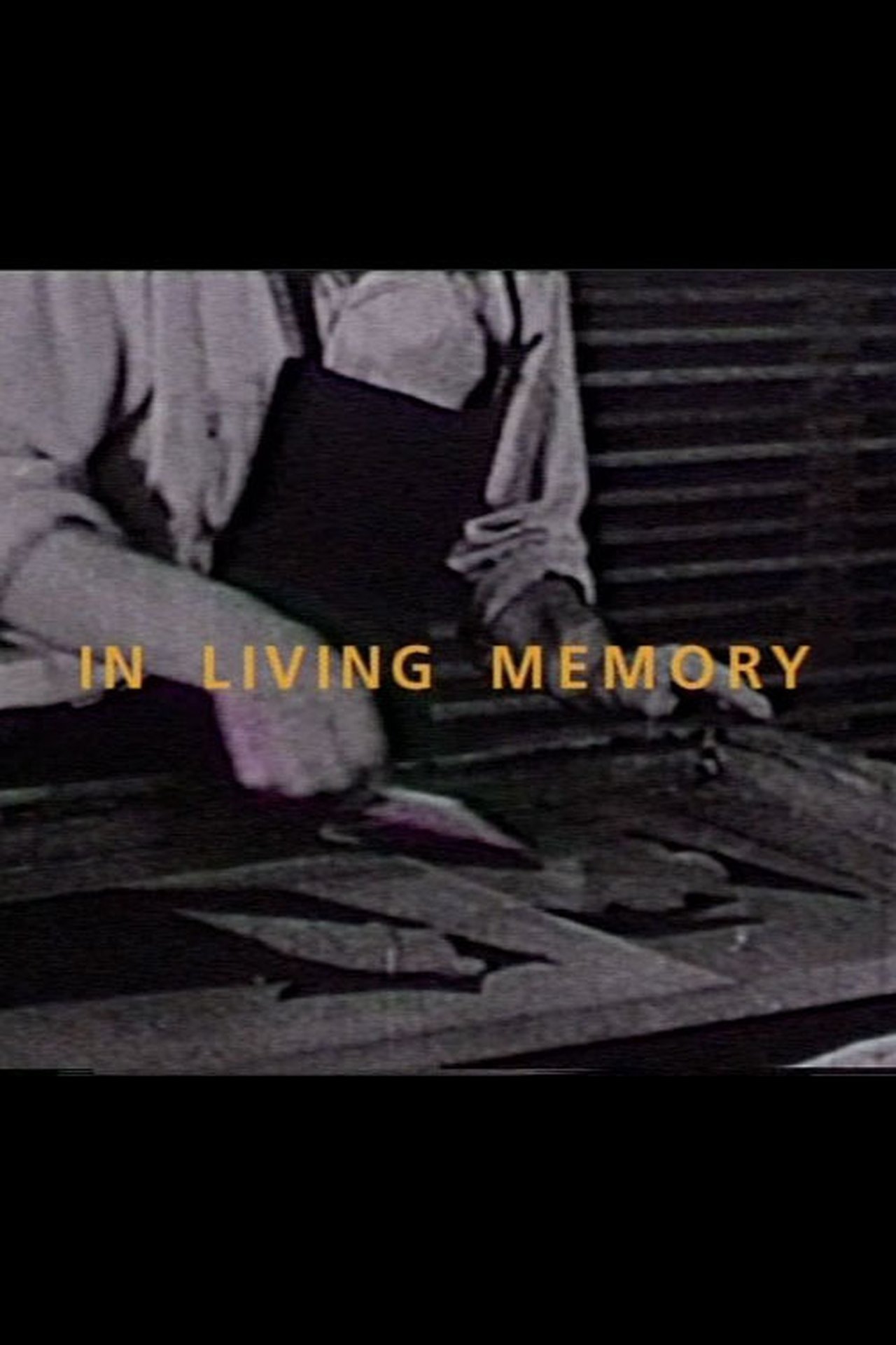 In Living Memory In Living Memory