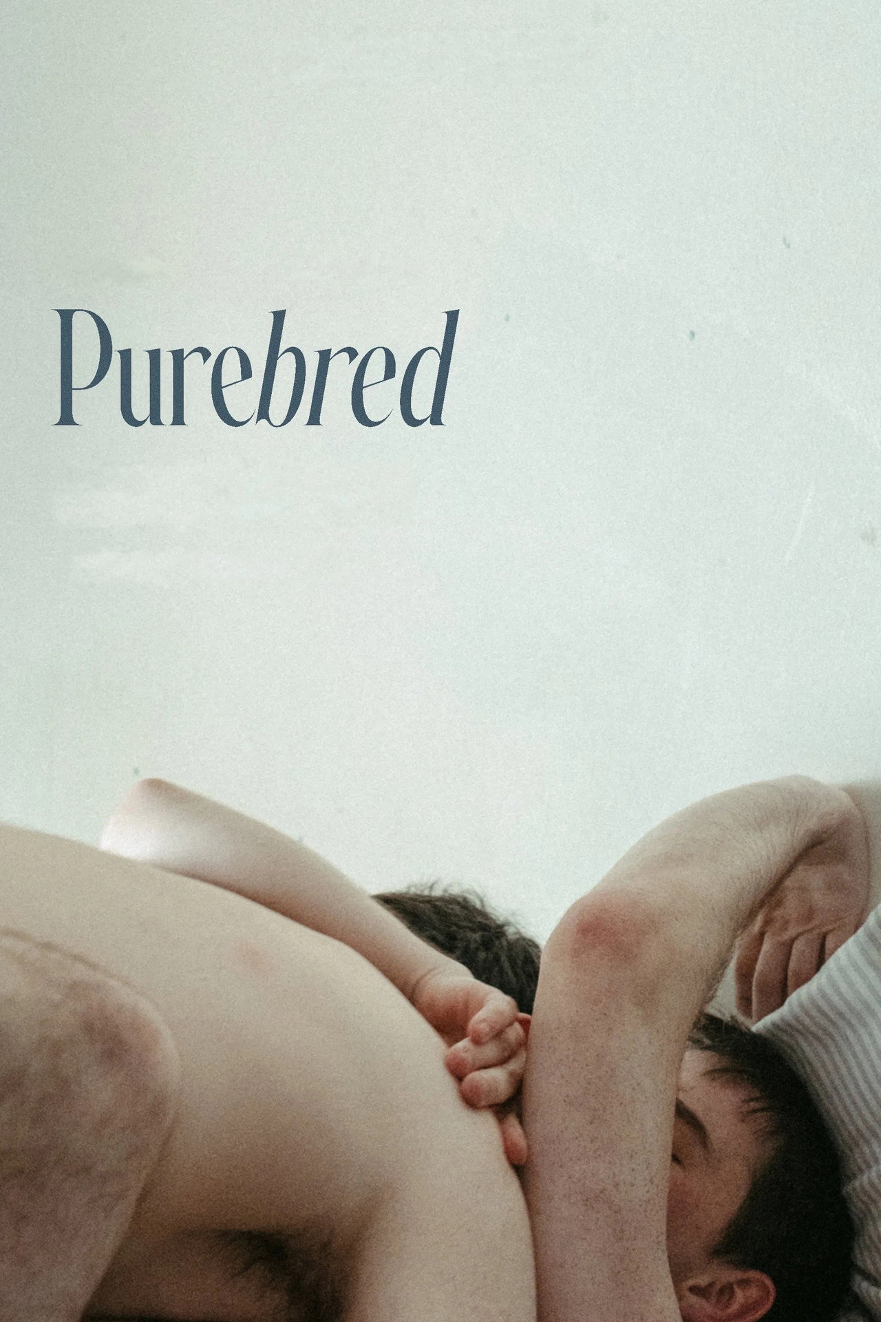 Purebred filmaffisch