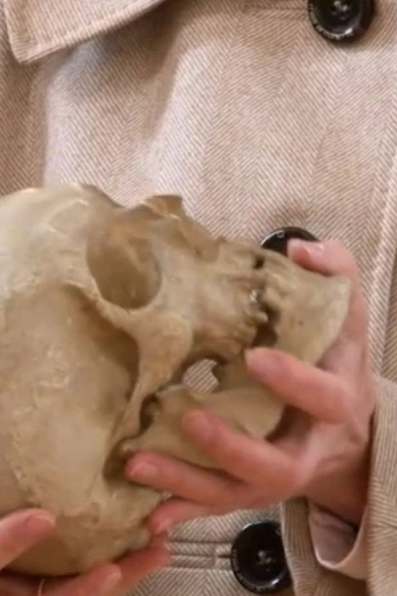 Leibnitz' Skull filmaffisch